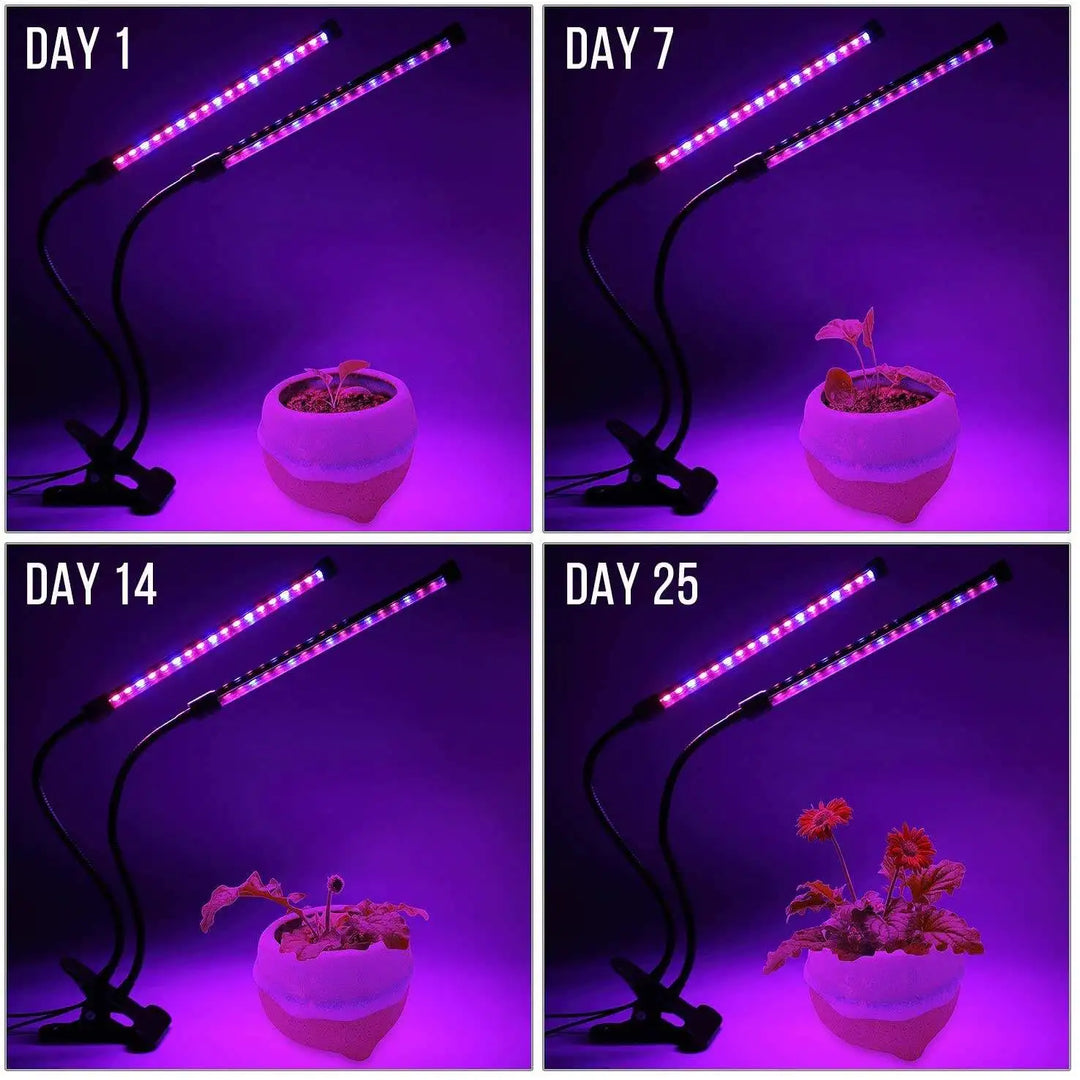 LED Grow Light for Indoor Plants – Full Spectrum Plant Grow Lamp, Dimmable USB Grow Lights with Timer