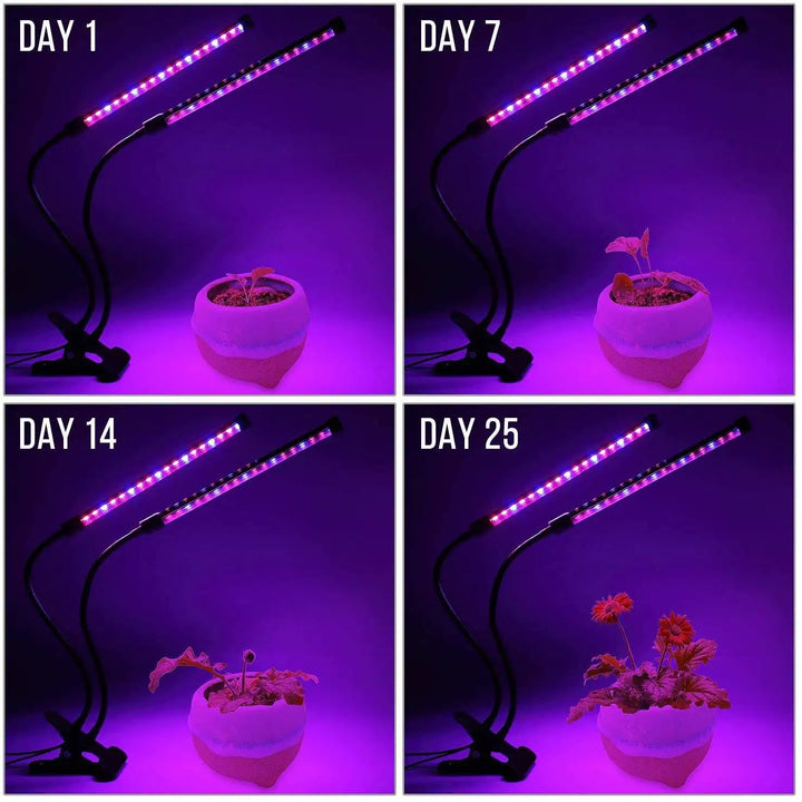 LED Grow Light for Indoor Plants – Full Spectrum Plant Grow Lamp, Dimmable USB Grow Lights with Timer